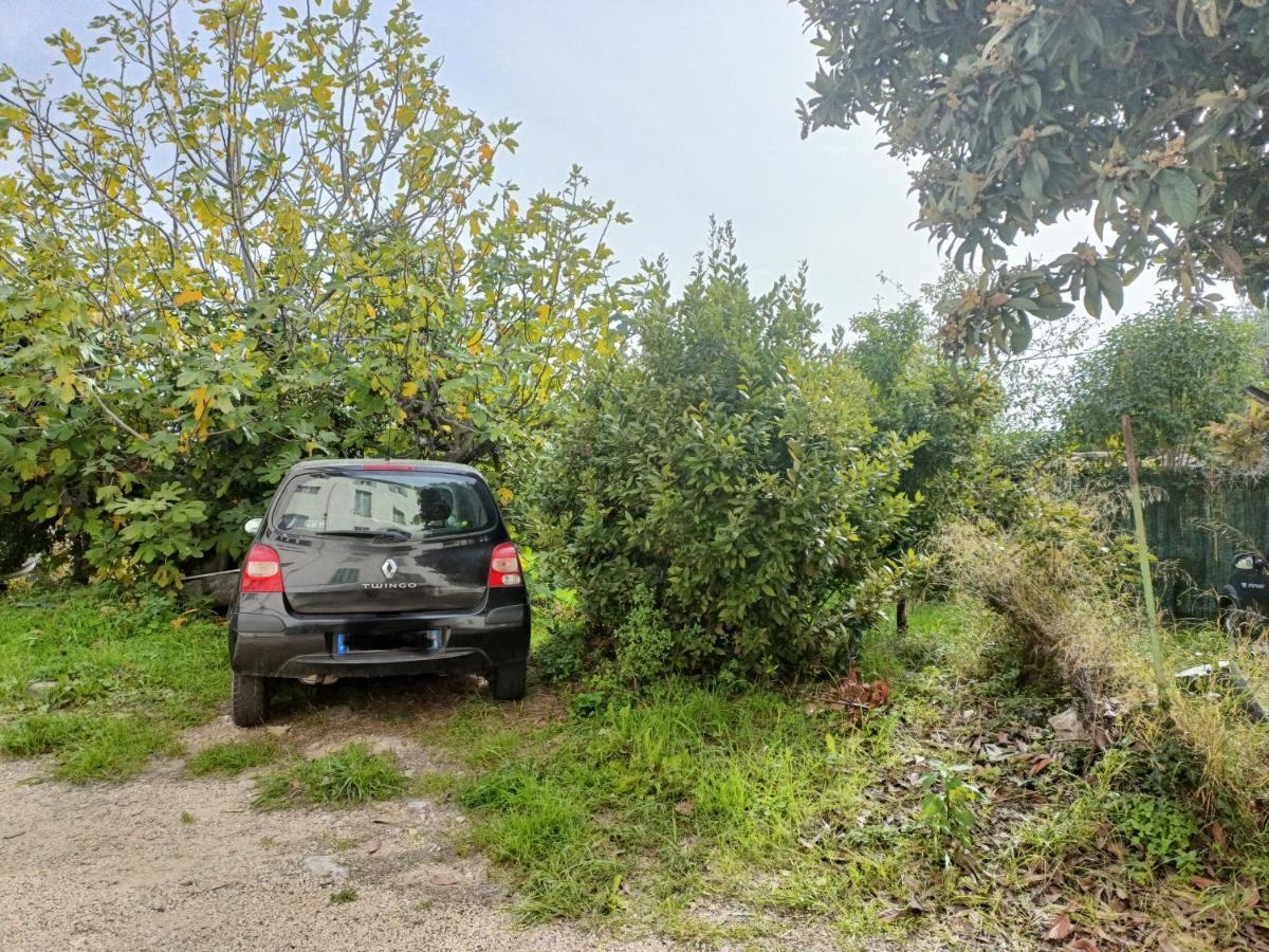 Un Bel Appartement Rez Jardin Parking Gratuit Vence Exterior foto